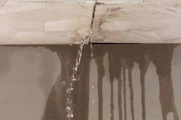 Professional Water Extraction technician working in Elizabeth, CO